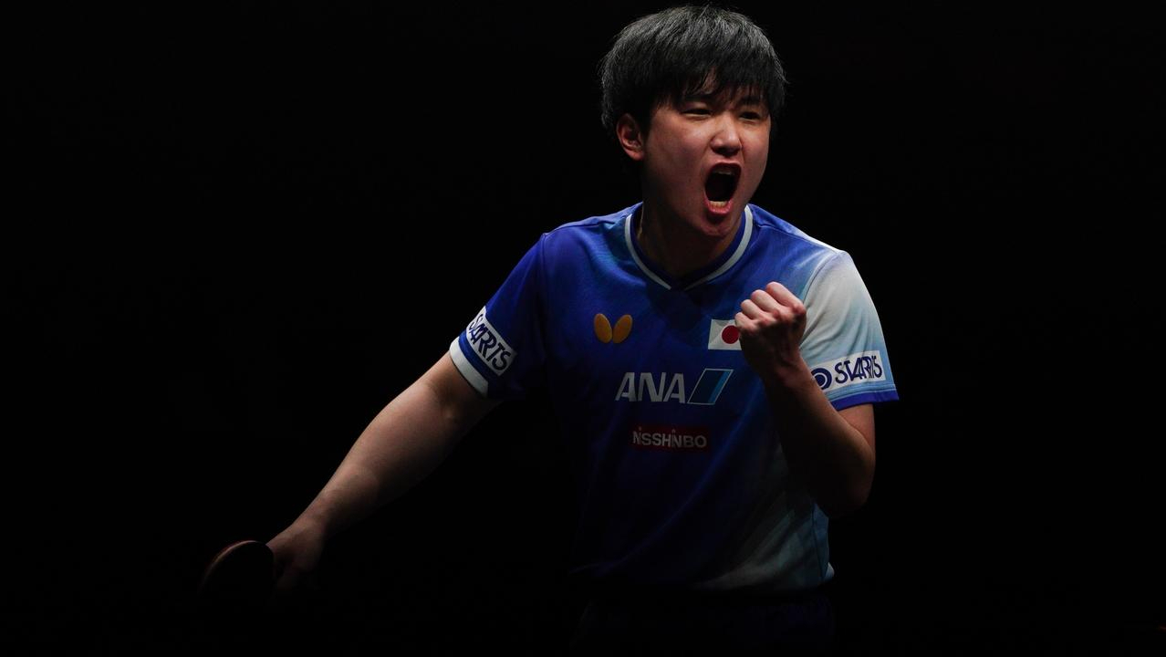 张本智和状态火爆，WTT冠军赛四强战对阵洛杉矶快船，本菲卡力争不败的简单介绍